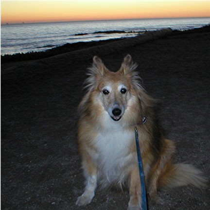 This is me, sitting in my favorite place!&nbsp; Everything here smells wonderful!