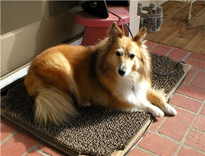 In a favorite thoughtful spot, 10/12/02